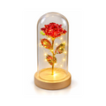 Eternal Rose in Glass Dome with LED Lights – Romantic Rose Gift